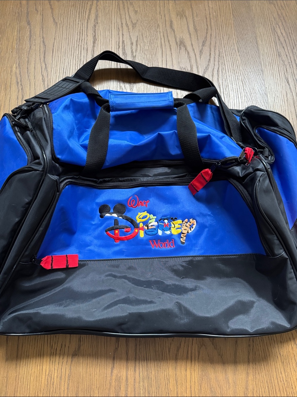 Vintage Y2K Walt Disney World Duffle Bag